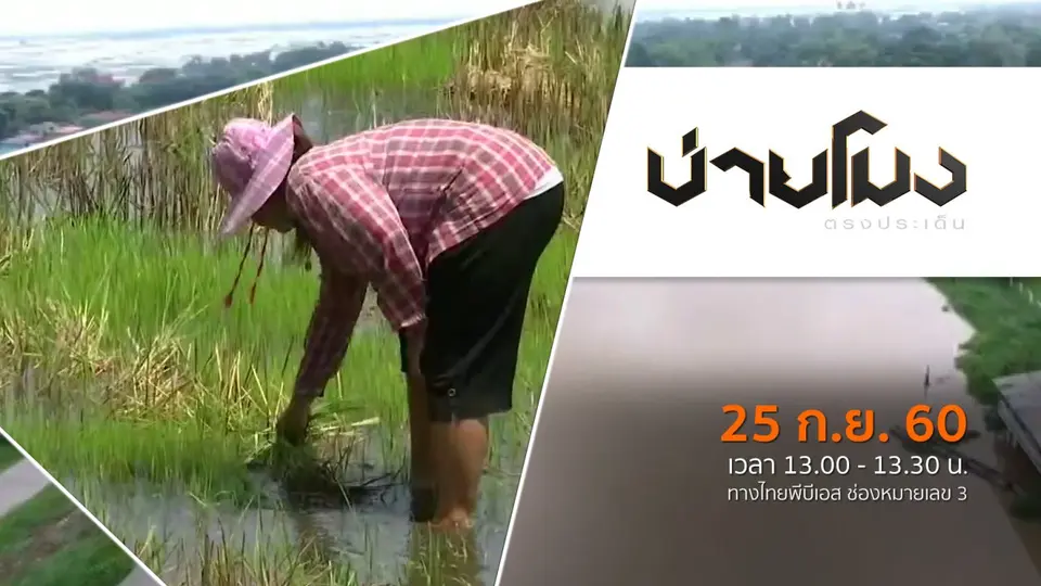 ประเด็นข่าว ( 25 ก.ย. 60)