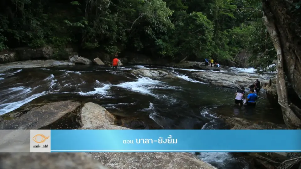 บาลา-ยังยิ้ม​​