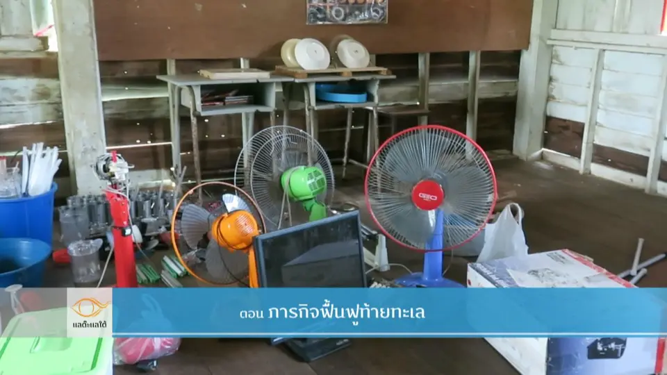 ภารกิจฟื้นฟูท้ายทะเล​