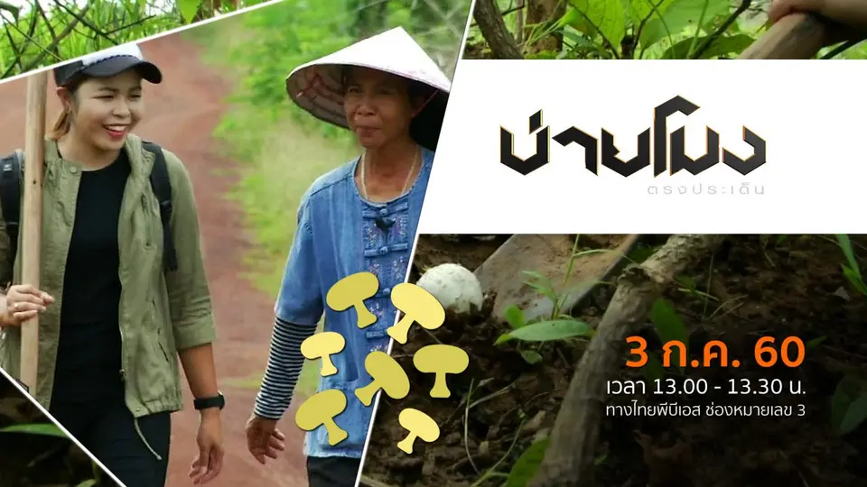 ประเด็นข่าว ( 3 ก.ค. 60)