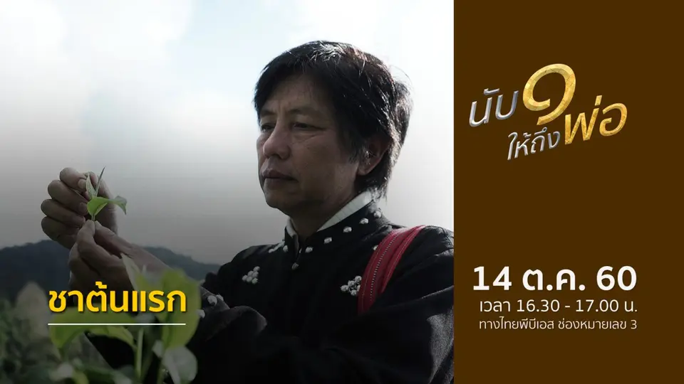 ชาต้นแรก