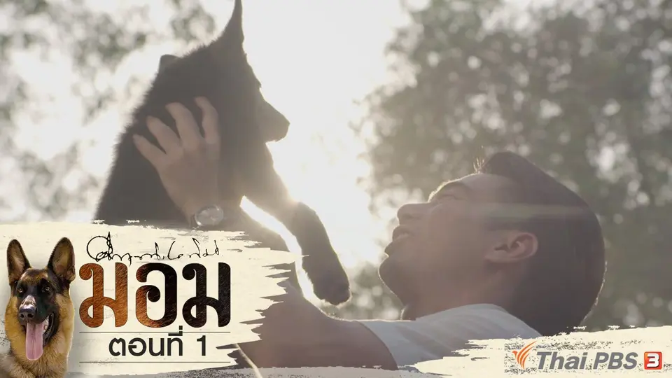 ละคร มอม