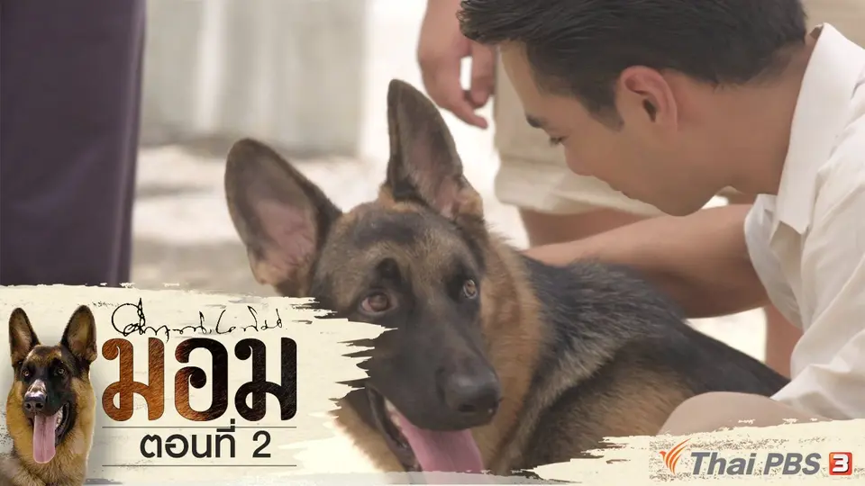 ละคร มอม