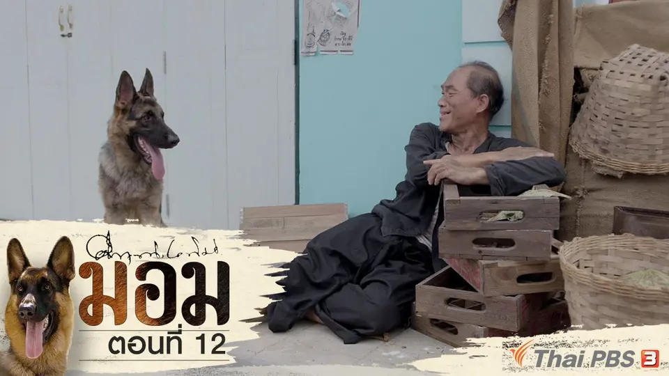 ละคร มอม