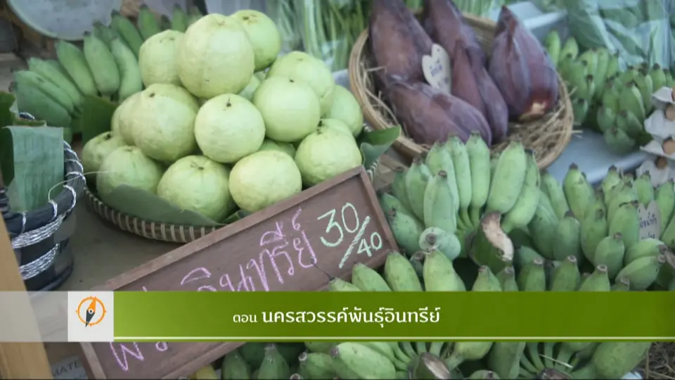 นครสวรรค์พันธุ์อินทรีย์​