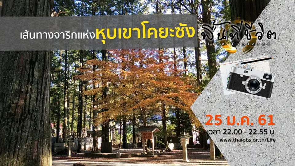 พื้นที่ชีวิต