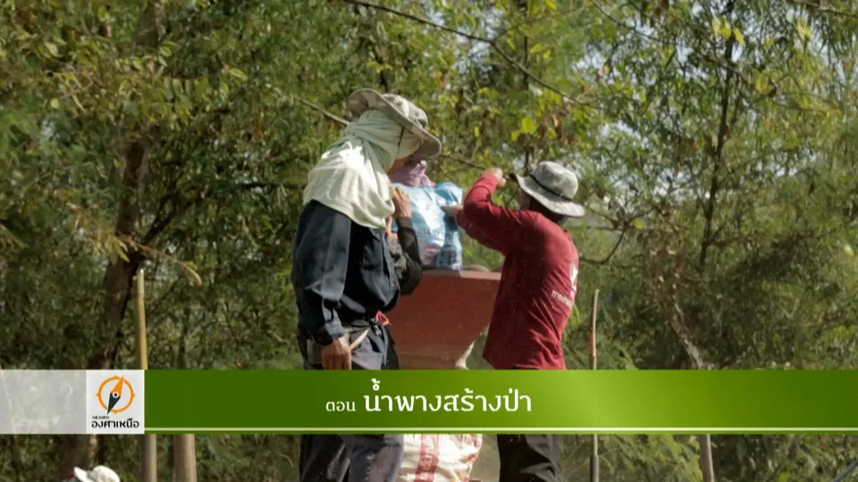 น้ำพางสร้างป่า​
