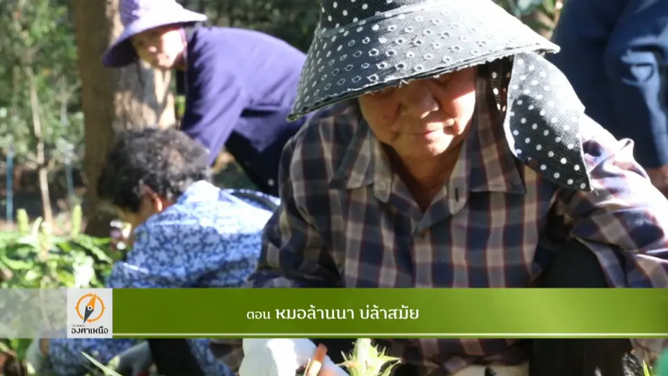 หมอล้านนา บ่ล้าสมัย​