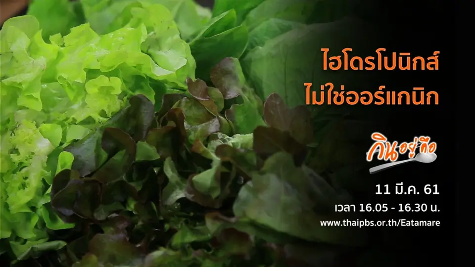 กินอยู่คือ