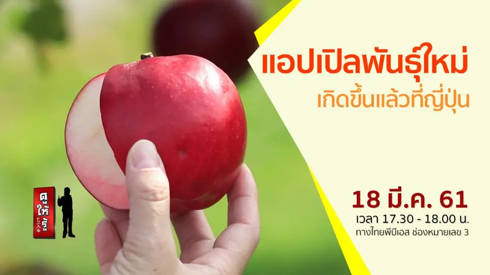 แอปเปิลพันธุ์ใหม่ เกิดขึ้นแล้วที่ญี่ปุ่น
