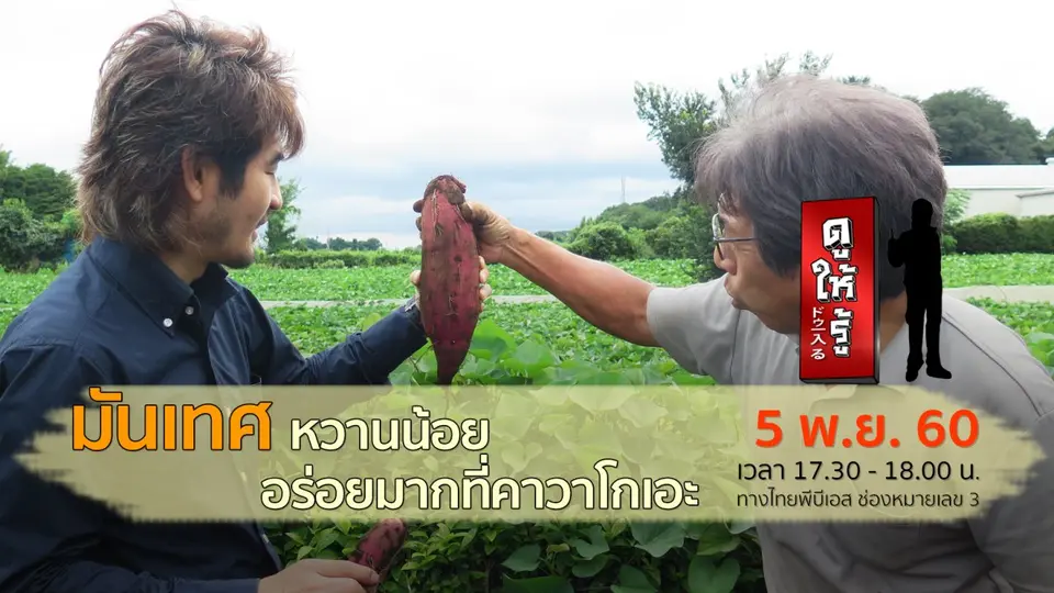 มันเทศ หวานน้อย อร่อยมากที่คาวาโกเอะ