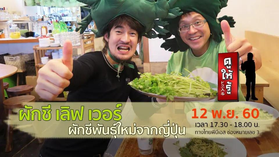 ผักชี เลิฟ เวอร์ ผักชีพันธุ์ใหม่จากญี่ปุ่น