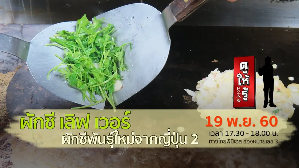 ผักชี เลิฟ เวอร์ ผักชีพันธุ์ใหม่จากญี่ปุ่น ตอนที่ 2