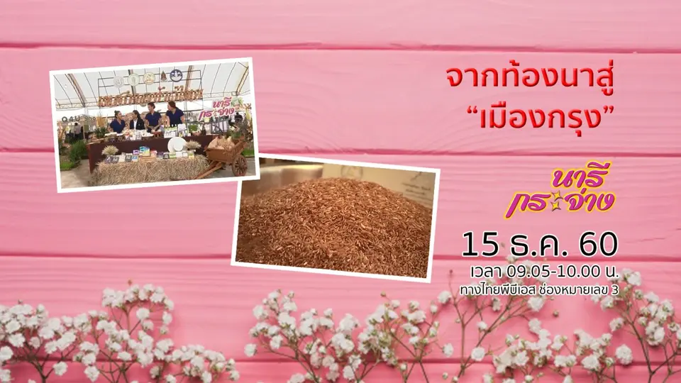 จากท้องนาสู่เมืองกรุง