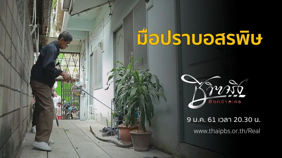 มือปราบอสรพิษ