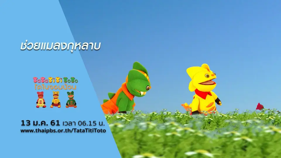 ช่วยแมลงกุหลาบ