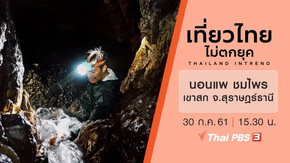 นอนแพ ชมไพร..ที่เขาสก จังหวัดสุราษฎร์ธานี