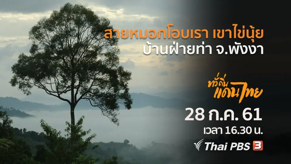 สายหมอกโอบเรา เขาไข่นุ้ย บ้านฝ่ายท่า จ.พังงา