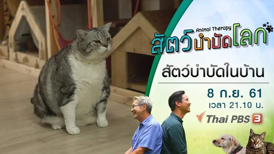 สัตว์บำบัดโลก