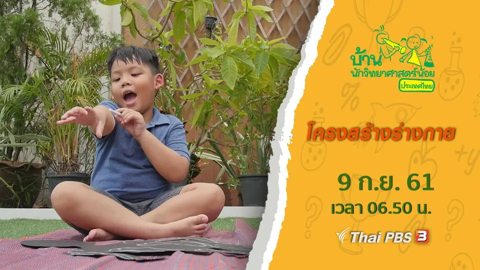 โครงสร้างร่างกาย