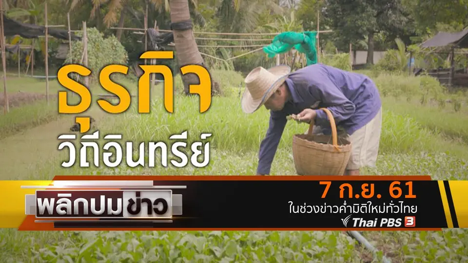 ธุรกิจวิถีอินทรีย์