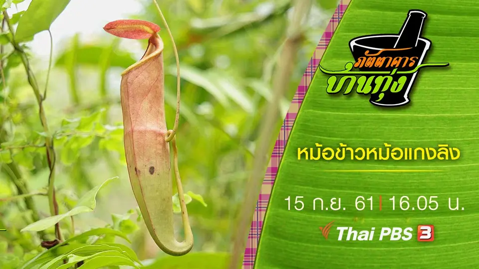 ภัตตาคารบ้านทุ่ง