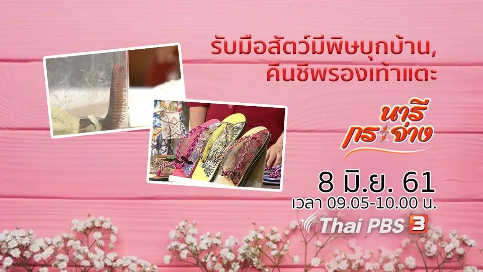 รับมือสัตว์มีพิษบุกบ้าน, คืนชีพรองเท้าแตะหูหนีบให้เก๋ไก๋ทันสมัย