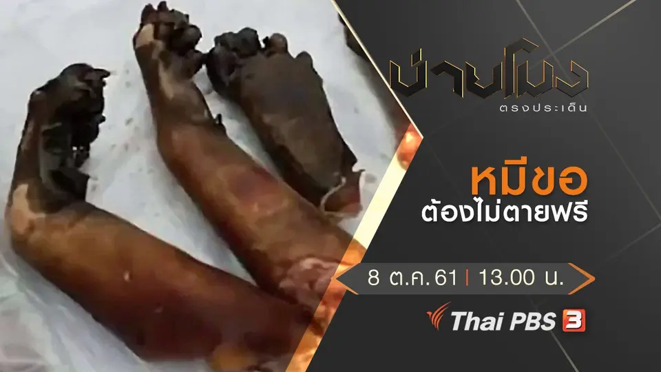 ประเด็นข่าว ( 8 ต.ค. 61)