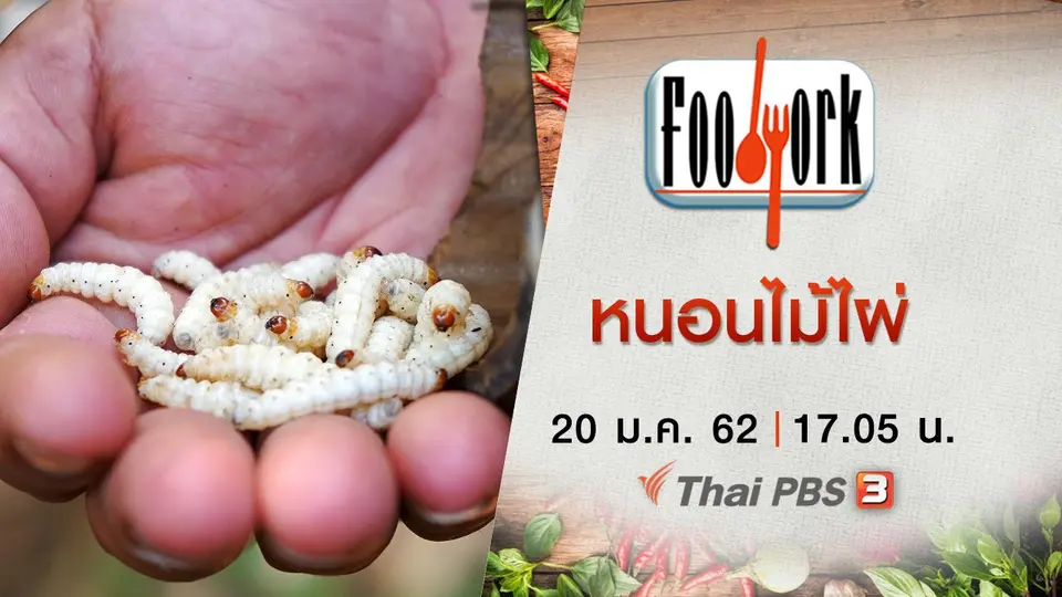 หนอนไม้ไผ่