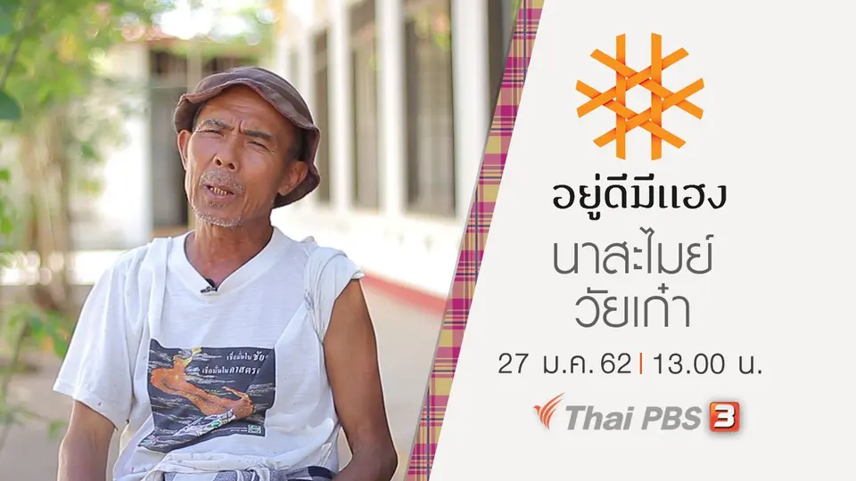 นาสะไมย์วัยเก๋า