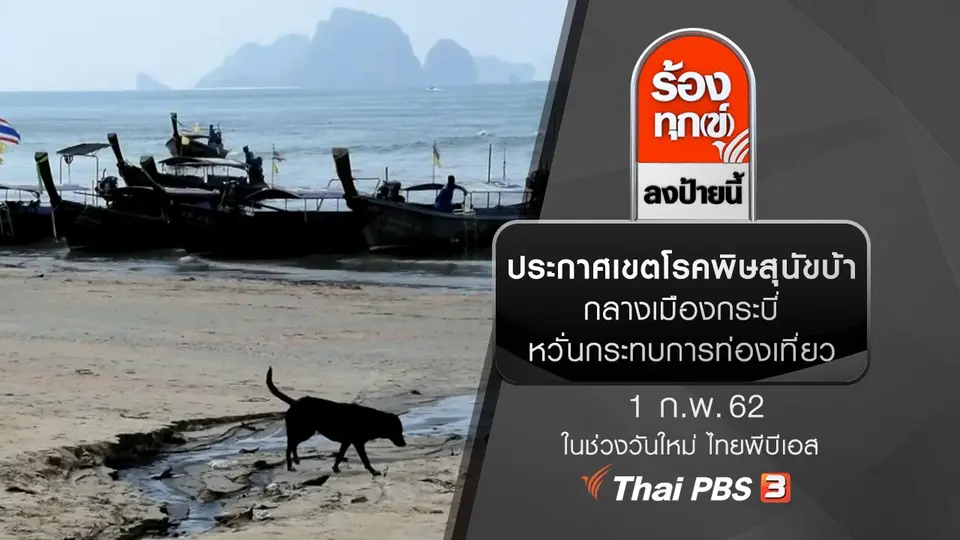 ประกาศเขตโรคพิษสุนัขบ้ากลางเมืองกระบี่ หวั่นกระทบการท่องเที่ยว