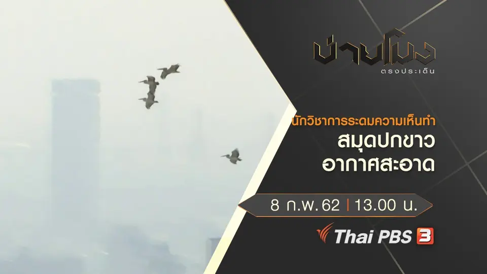 ประเด็นข่าว (8 ก.พ.62)