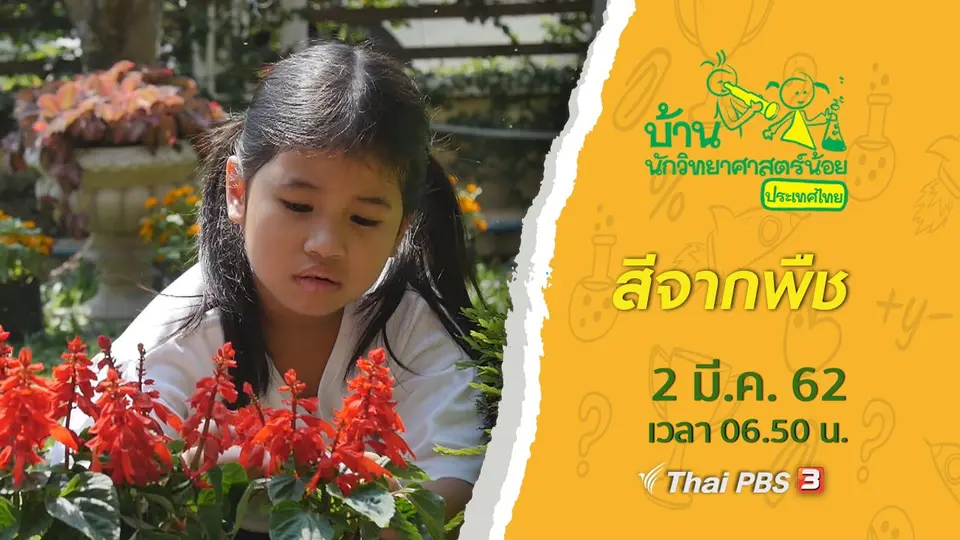 สีจากพืช