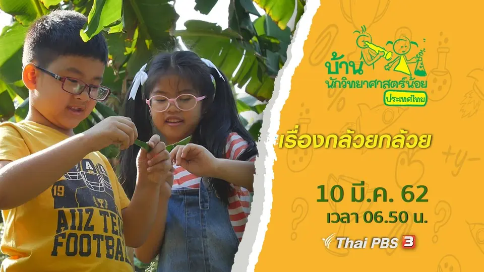เรื่องกล้วยกล้วย