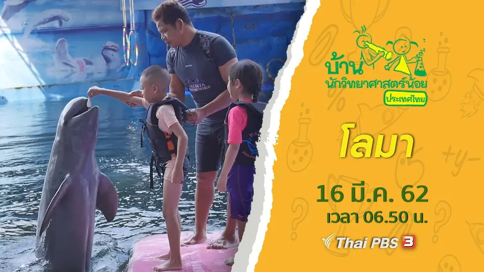 ​โลมา