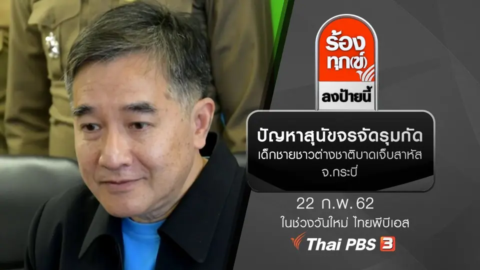 ปัญหาสุนัขจรจัดรุมกัดเด็กชายชาวต่างชาติบาดเจ็บสาหัส จ.กระบี่