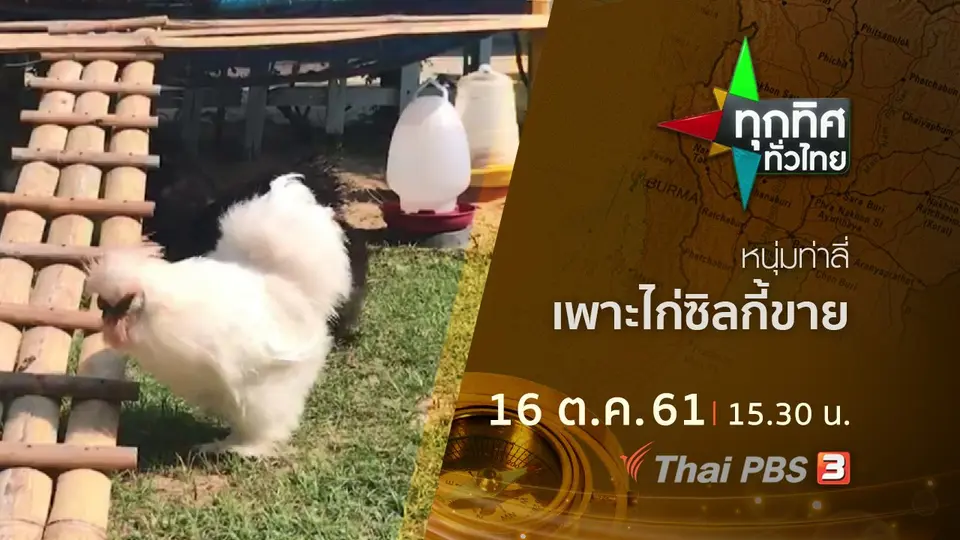 ประเด็นข่าว ( 16 ต.ค. 61)