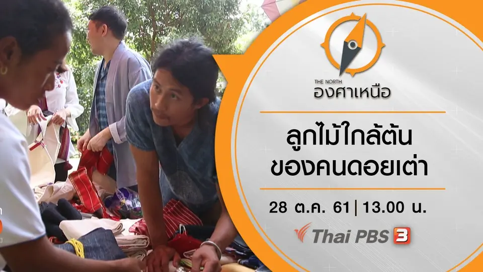ลูกไม้ใกล้ต้น ของคนดอยเต่า