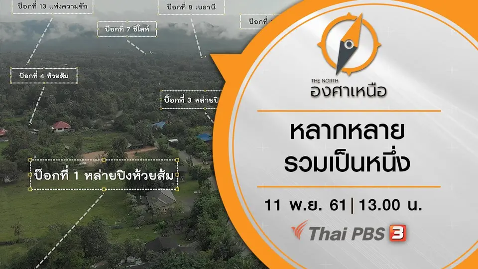 หลากหลายรวมเป็นหนึ่ง