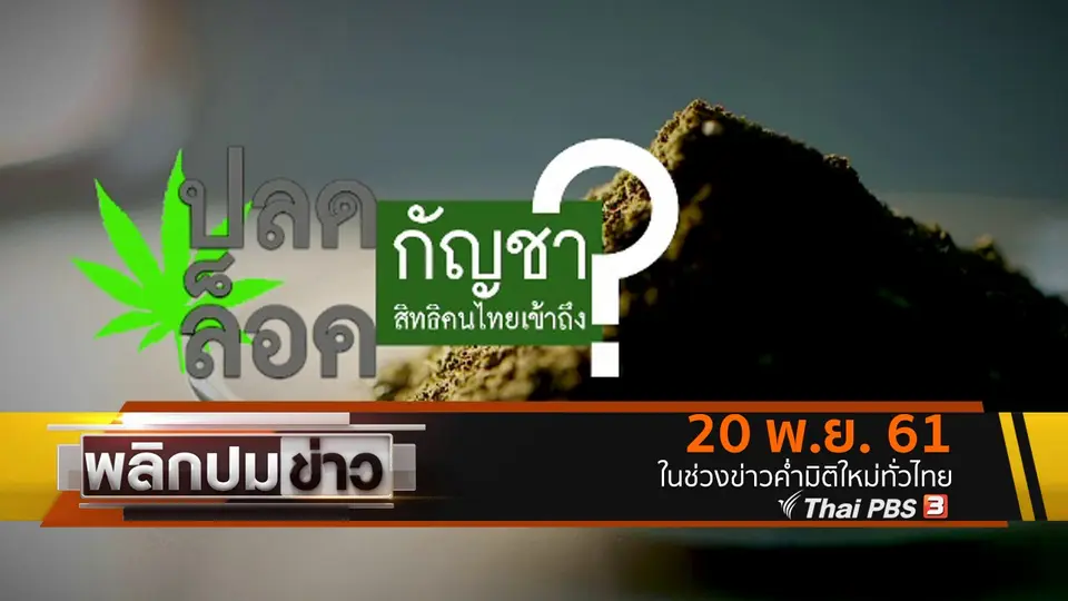 ปลดล็อคกัญชา สิทธิคนไทยเข้าถึง