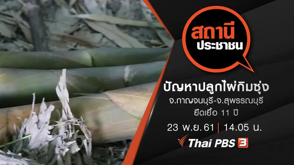 ปัญหาปลูกไผ่กิมซุ่ง จ.กาญจนบุรี-จ.สุพรรณบุรี ยืดเยื้อ 11 ปี