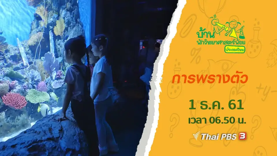 การพรางตัว