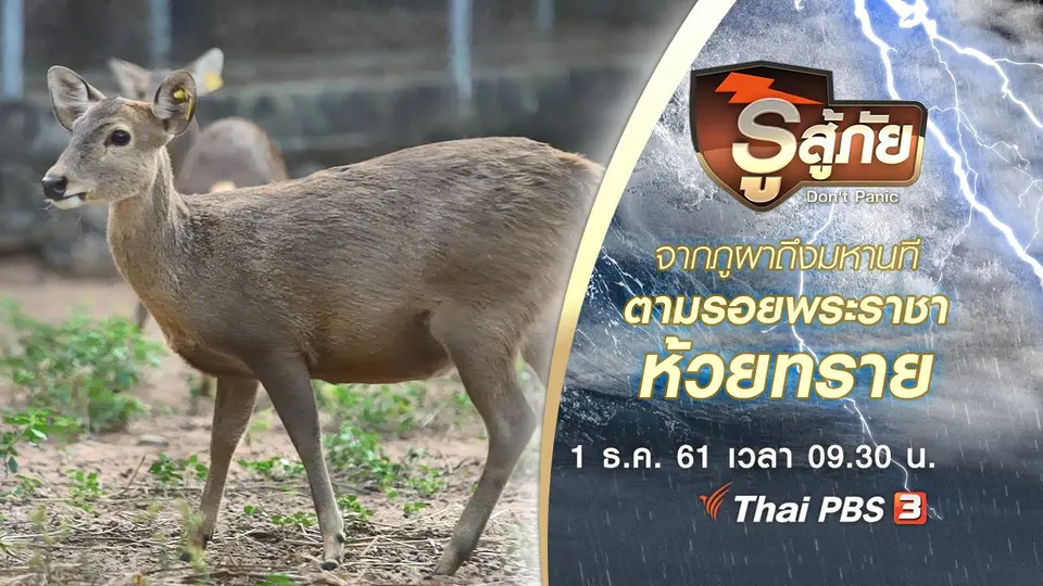 จากภูผาถึงมหานที ตามรอยพระราชา ห้วยทราย