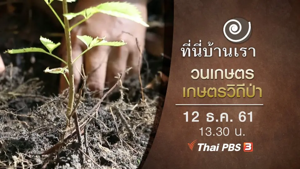 วนเกษตร เกษตรวิถีป่า