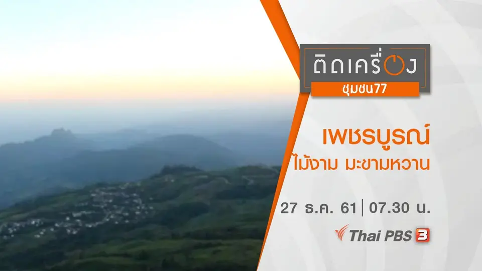 เพชรบูรณ์ ไม้งาม มะขามหวาน