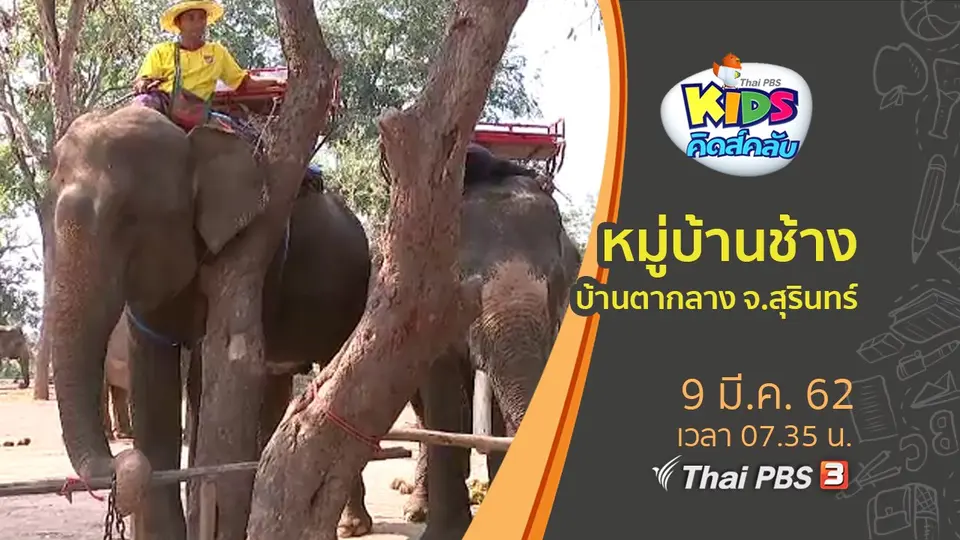 ​หมู่บ้านช้าง บ้านตากลาง จ.สุรินทร์
