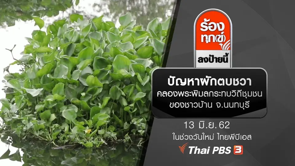 ปัญหาผักตบชวาคลองพระพิมลกระทบวิถีชุมชนของชาวบ้าน จ.นนทบุรี