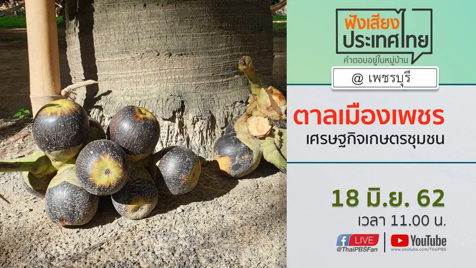 Online first Ep.66 ตาลเมืองเพชร เศรษฐกิจเกษตรชุมชน