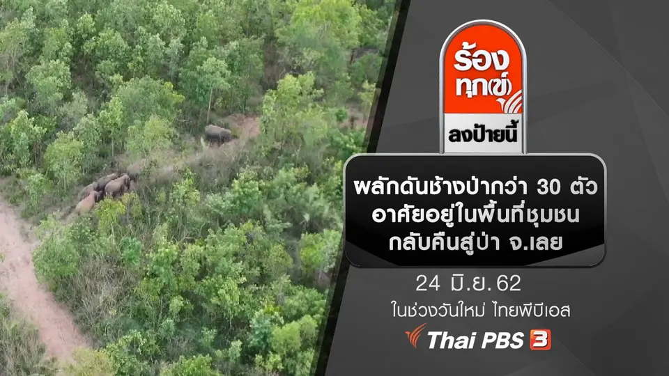 ผลักดันช้างป่ากว่า 30 ตัว อาศัยอยู่ในพื้นที่ชุมชนกลับคืนสู่ป่า จ.เลย