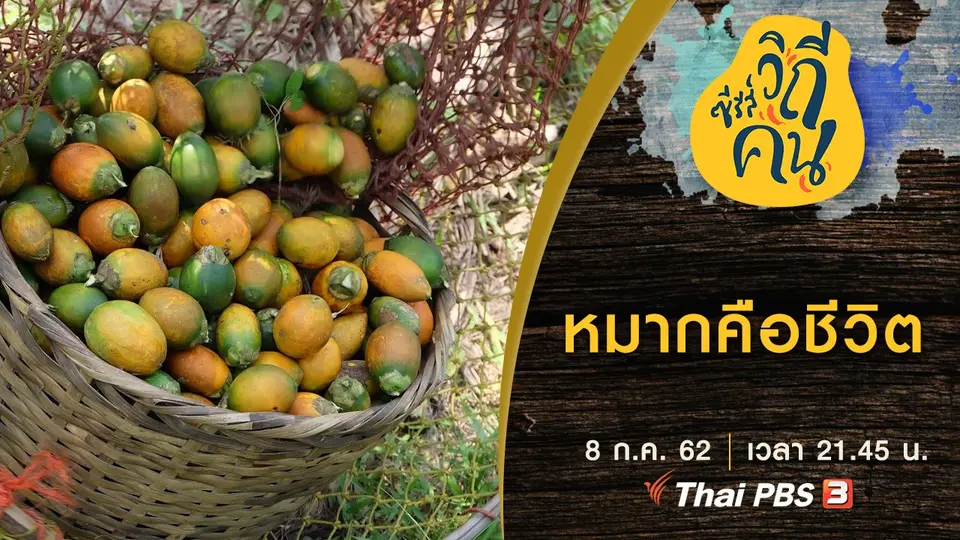 ซีรีส์วิถีคน